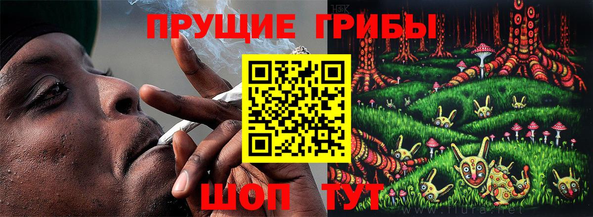 где можно купить наркотик  Псилоцибиновые грибы Psilocybe  Вход с VPN  Красноармейск 